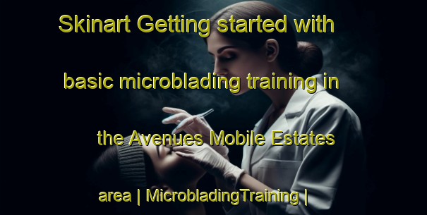 Skinart Getting started with basic microblading training in the Avenues Mobile Estates area | MicrobladingTraining | MicrobladingClasses | SkinartTraining-United States